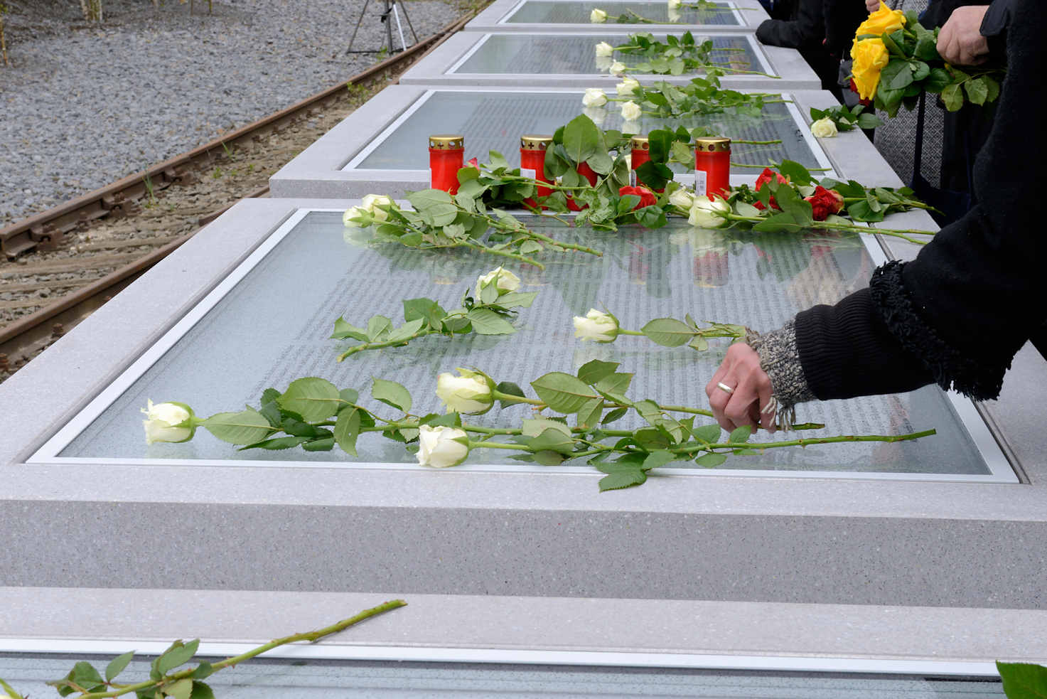 7308 Tafeln mit den Namen der Deportierten werden mit weissen Rosen geschmückt. | Lohseplatz - Lohsepark, Gedenkstätte Hamburger Hafencity.
